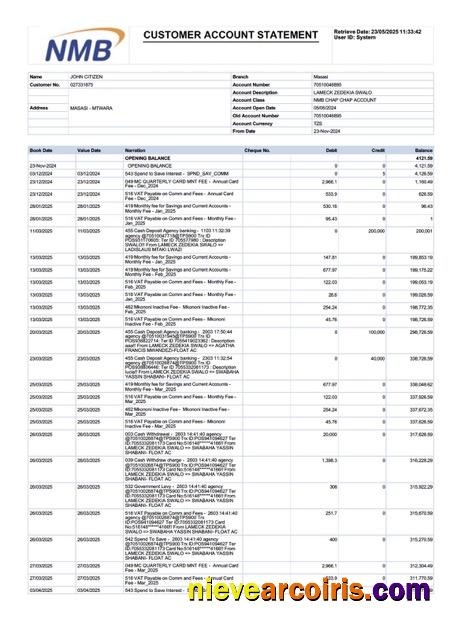 Tanzania NMB Bank account statement Word and PDF